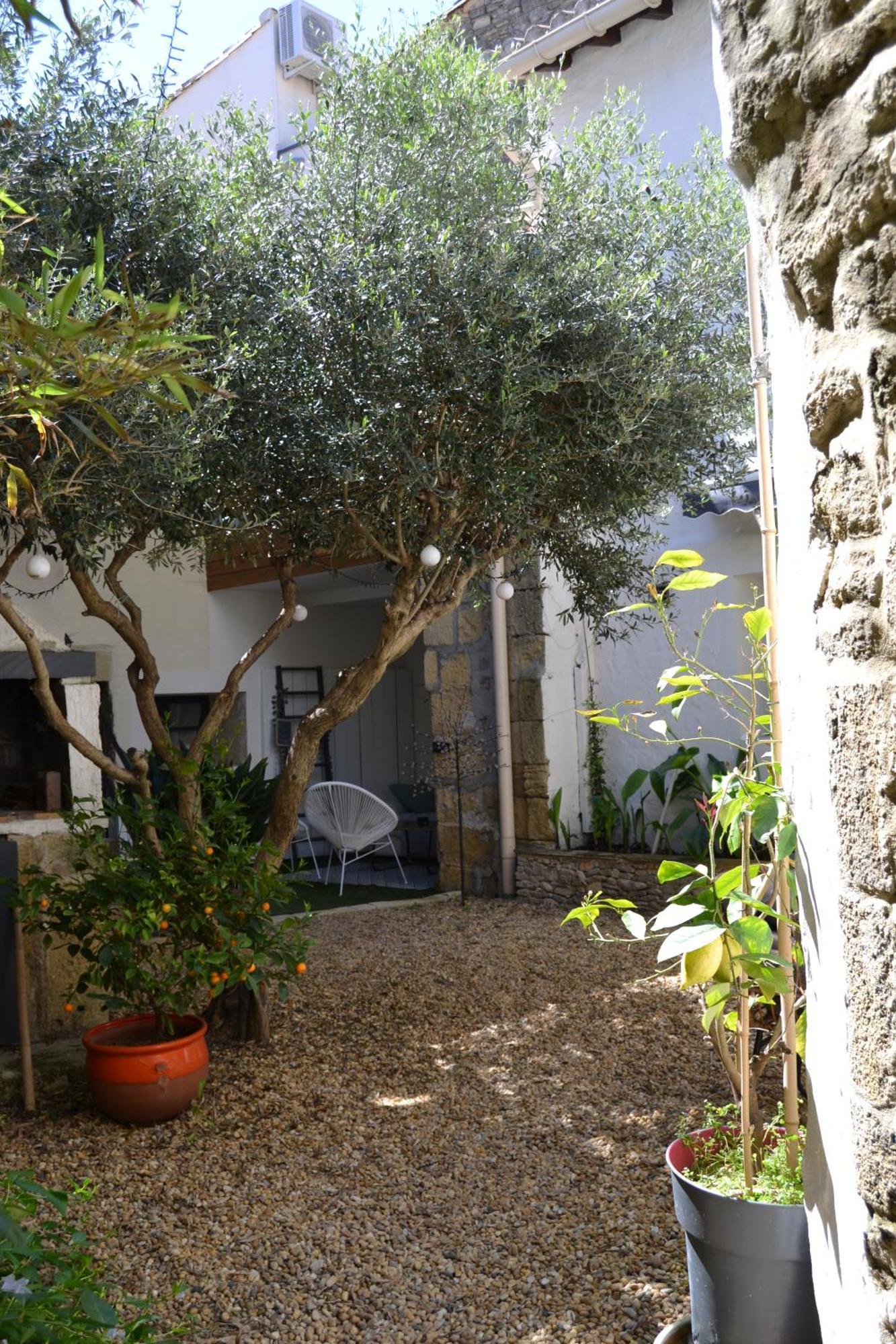 Aigues-Vives La Cachette住宿加早餐旅馆 外观 照片
